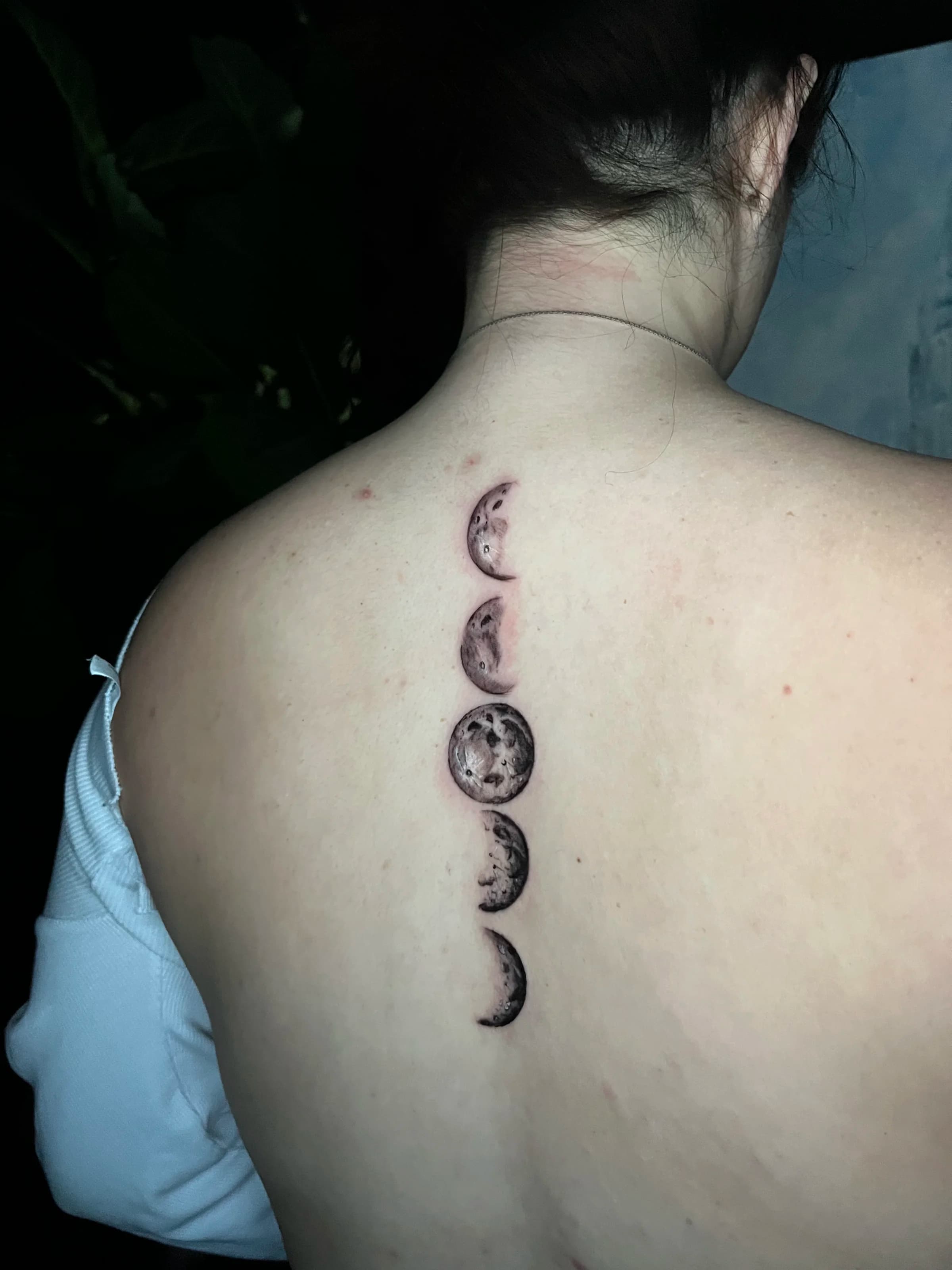 Fases de la luna en línea