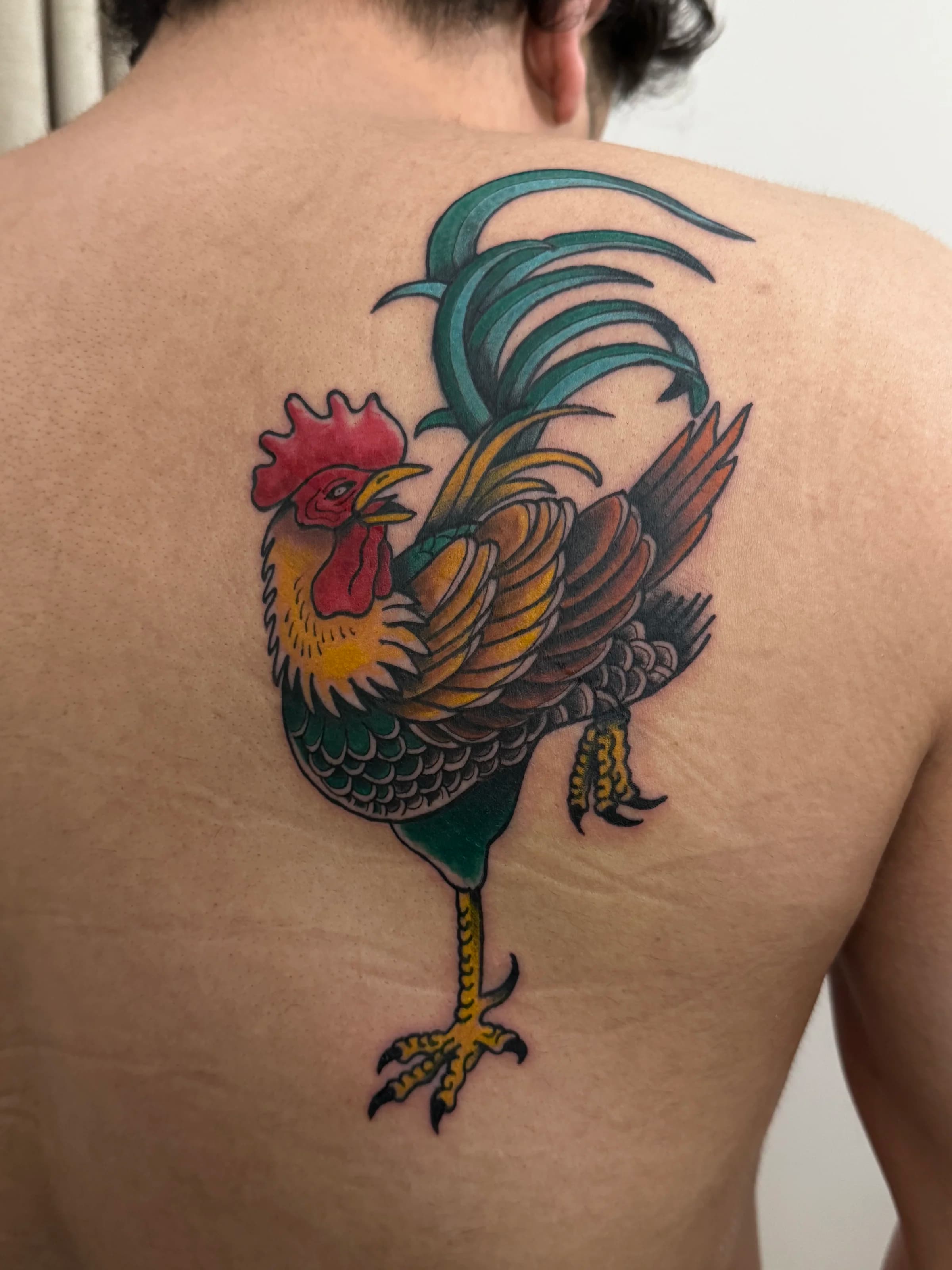 Gallo tradicional en espalda, color fuerte