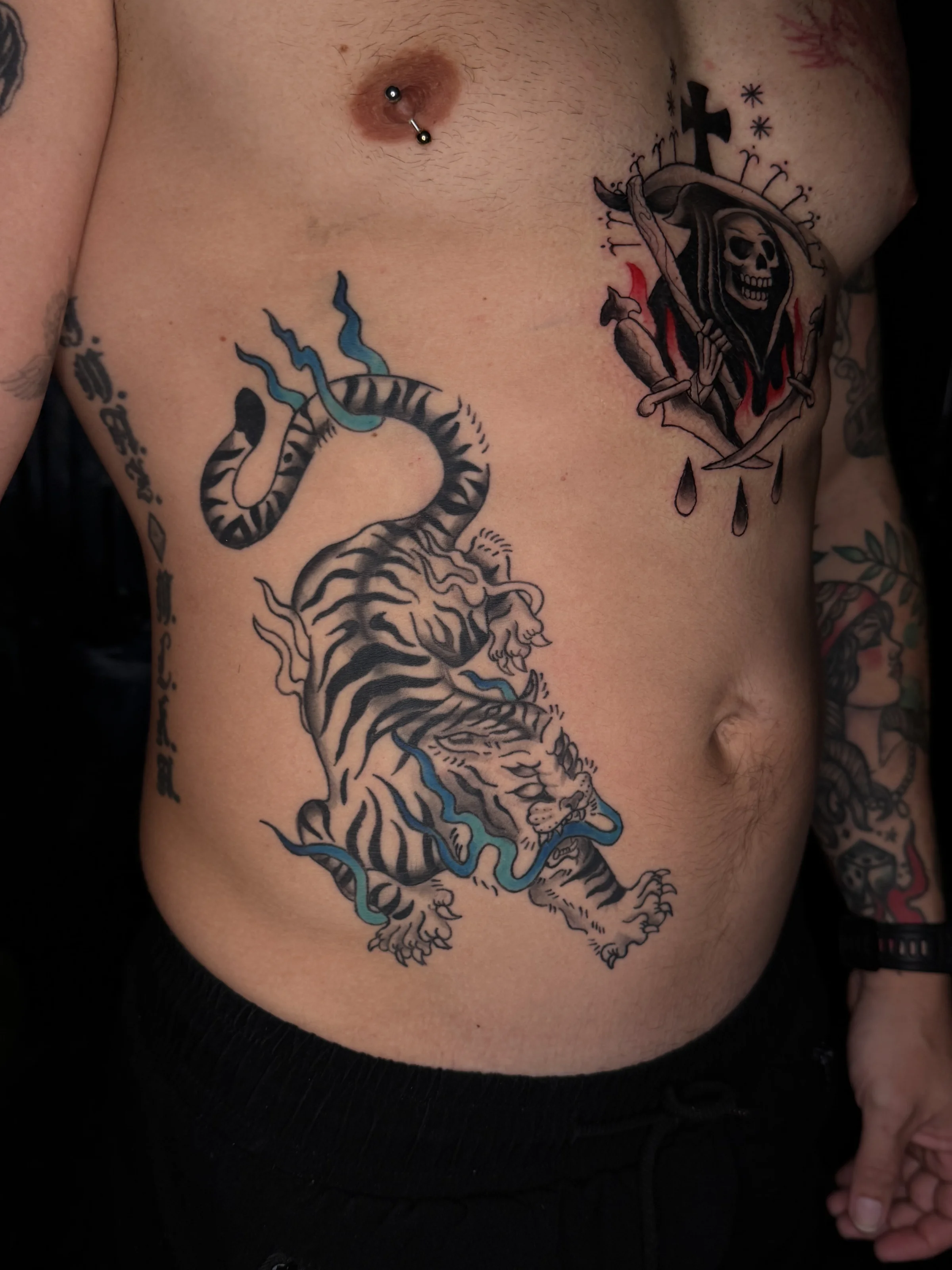 Tigre tradicional a color